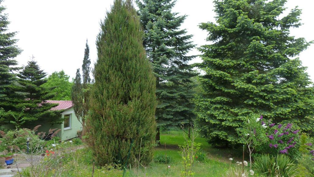 Bungalow am Küstrinsee bei Lychen Exterior foto